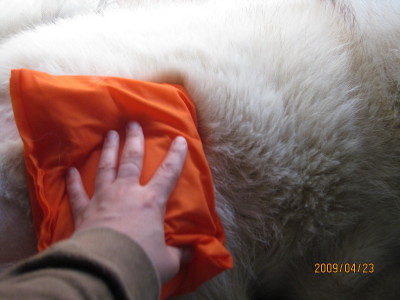 e0121548_22185199.jpg