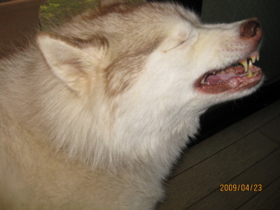 e0121548_22251270.jpg