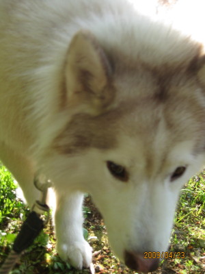e0121548_2240442.jpg