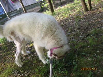e0121548_22453732.jpg