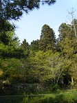 e0175148_20483779.jpg