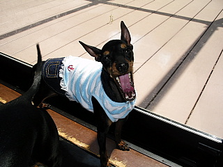 c0123149_11404590.jpg