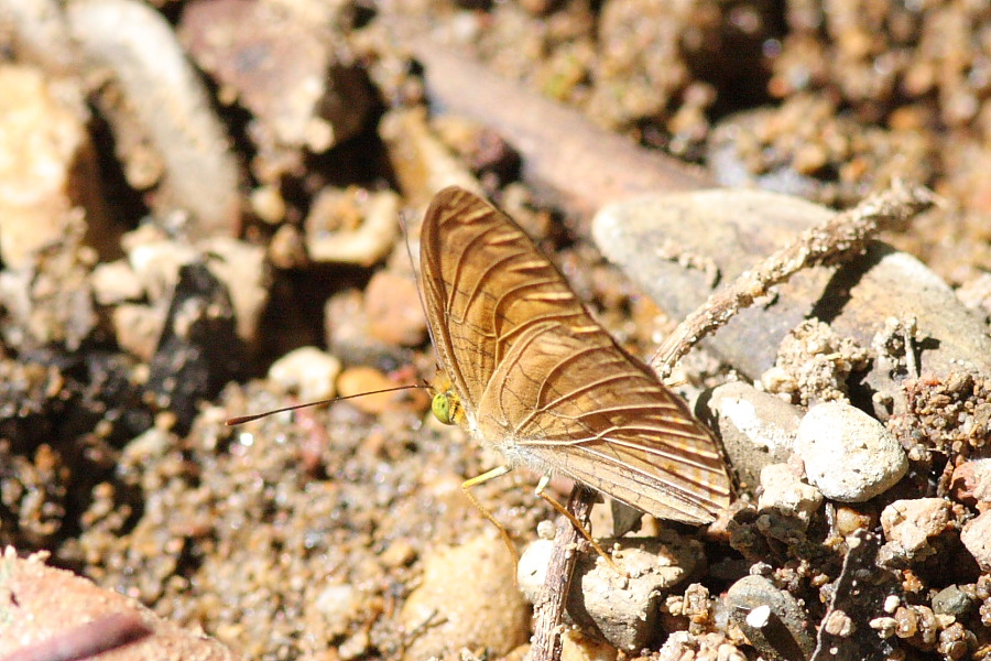 a0094850_2053721.jpg
