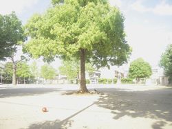 a0113650_23441632.jpg