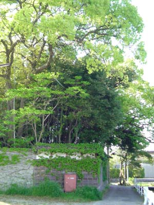 f0168256_16412993.jpg