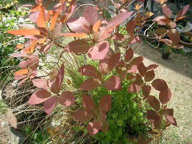 c0186463_18321990.jpg