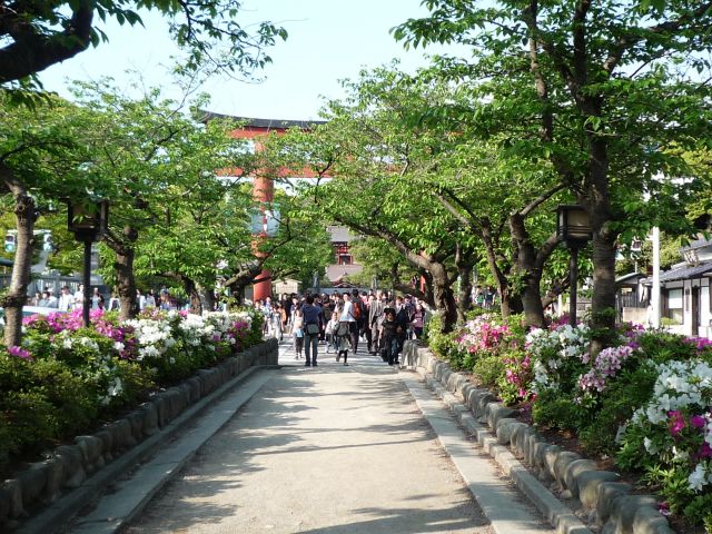 b0141664_23245533.jpg