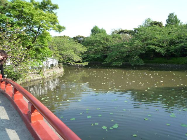 b0141664_2329831.jpg