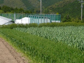 f0055264_20561035.jpg