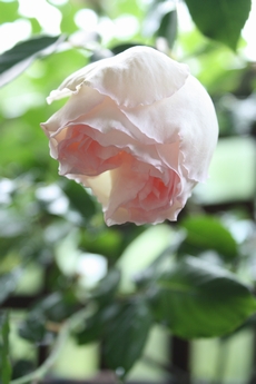 e0029865_19321877.jpg