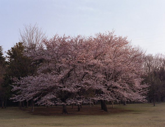 c0132466_759144.jpg
