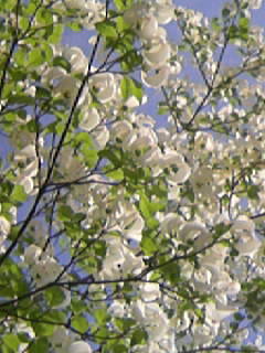 f0061067_239280.jpg
