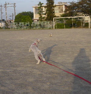 f0203369_2145152.jpg