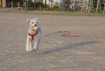 f0203369_21452094.jpg