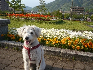 f0203369_21471938.jpg