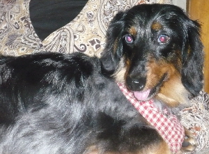 f0203369_2147299.jpg