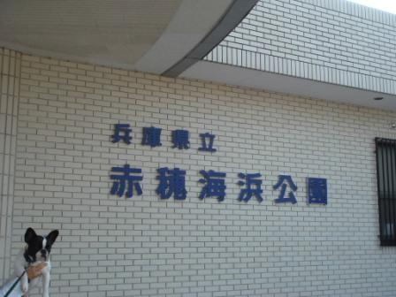 b0130273_223008.jpg