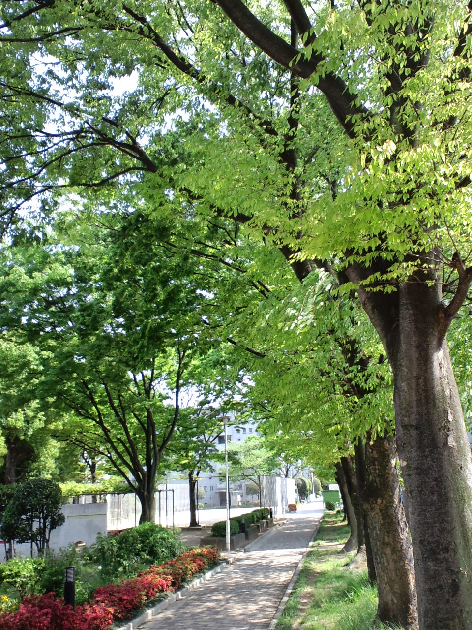 d0147774_1723157.jpg