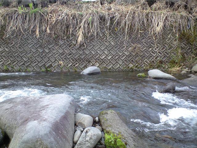 a0093677_21242676.jpg