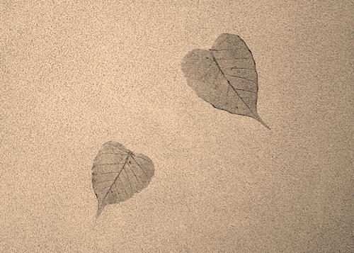 b0029488_21235221.jpg