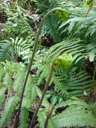f0138588_20565230.jpg