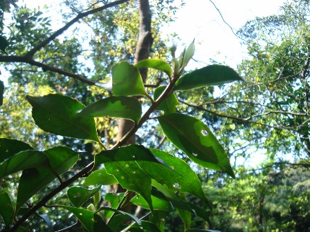 f0138588_20571788.jpg
