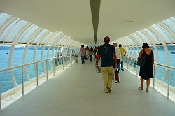 a0003089_22472146.jpg