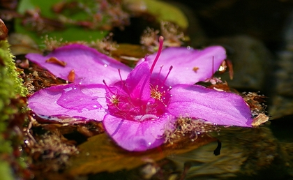 b0080789_0103518.jpg