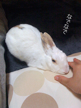 f0201191_12304373.gif
