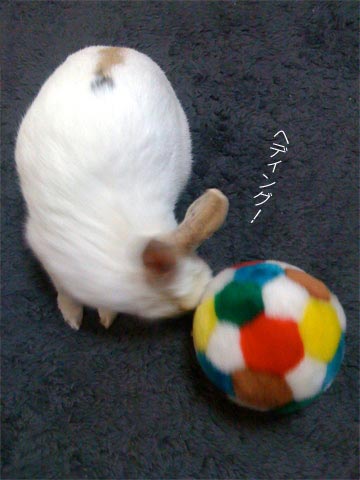 f0201191_18183859.jpg