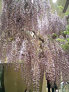 c0138198_1759382.jpg