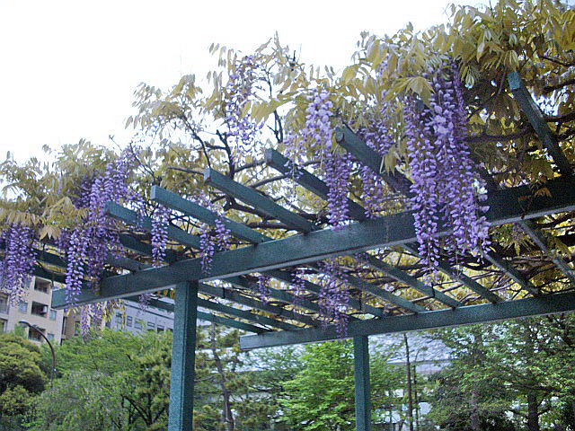 c0138198_1791793.jpg