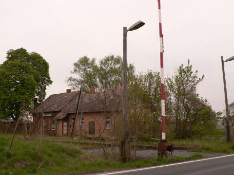 a0056401_917281.jpg