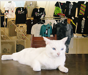 c0041201_8331553.jpg