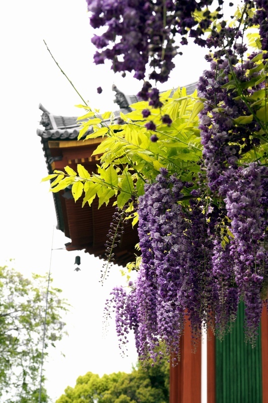 c0043403_22454217.jpg