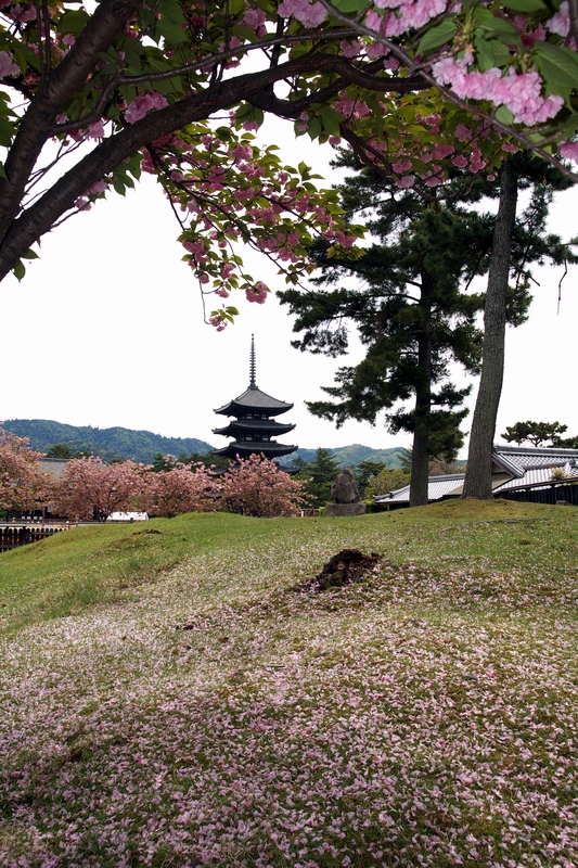 c0043403_22482482.jpg