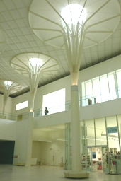 d0136804_1424392.jpg