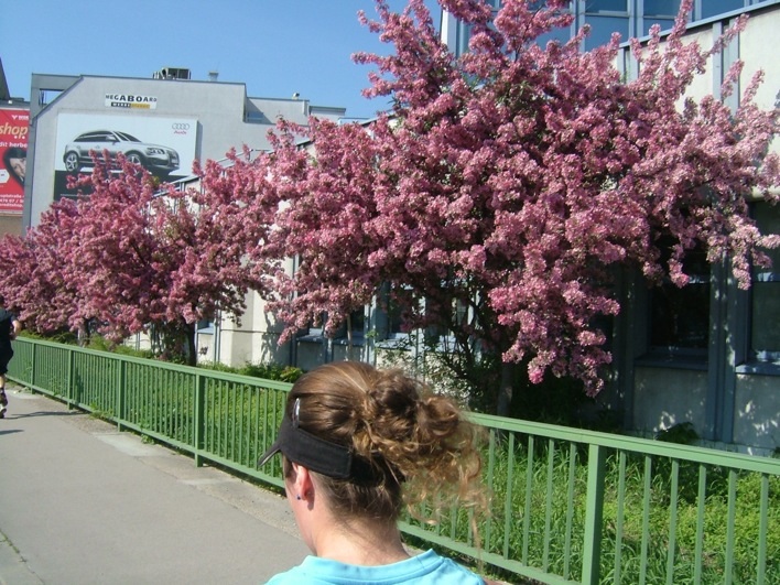f0052011_8204694.jpg