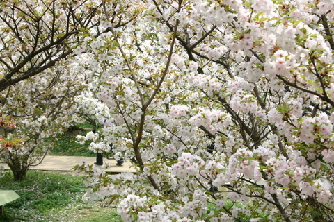 b0131812_18574628.jpg