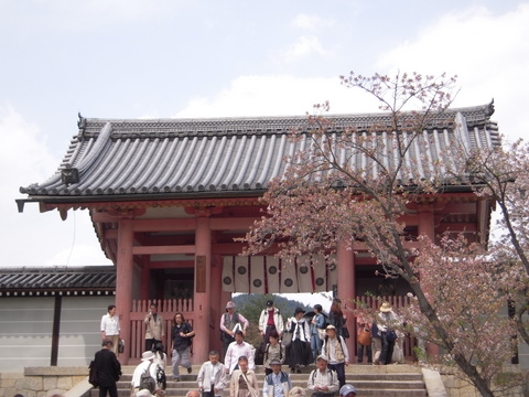 b0131812_5413111.jpg