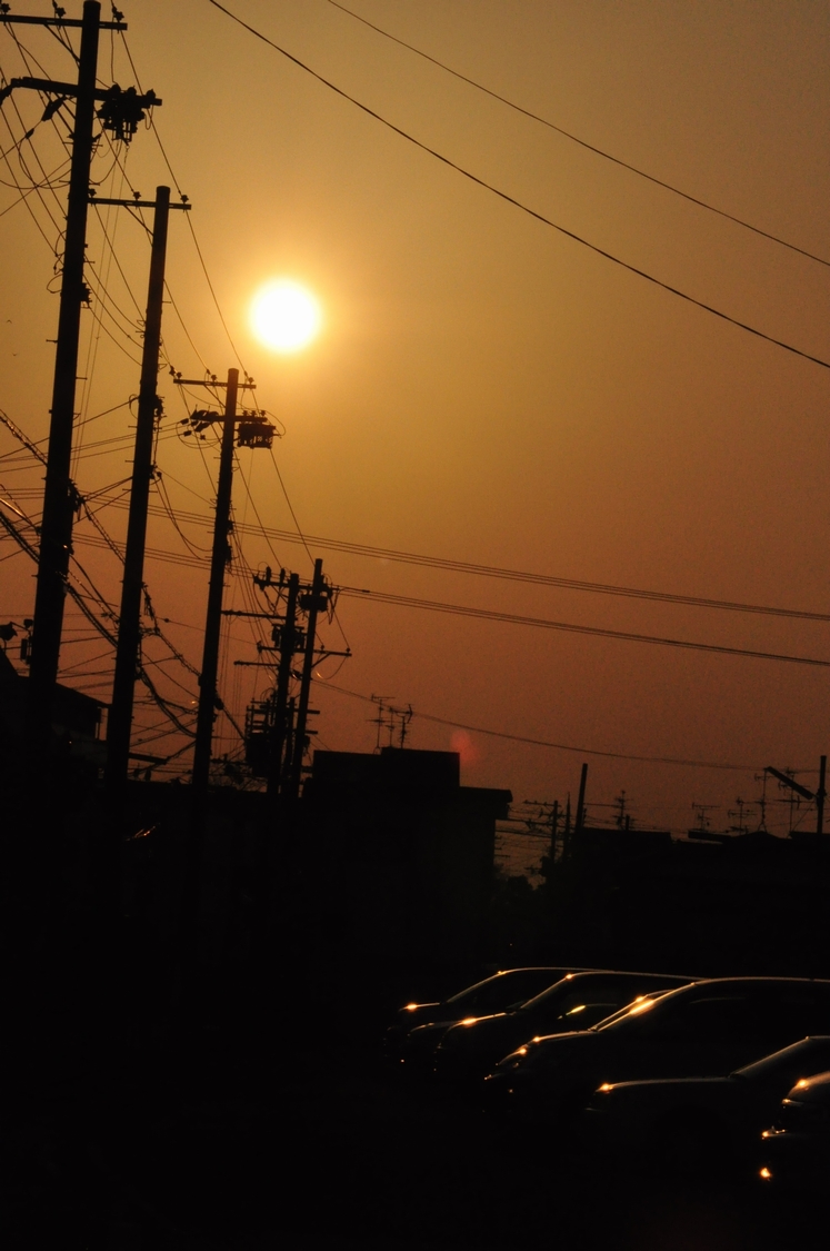 c0116216_1391765.jpg