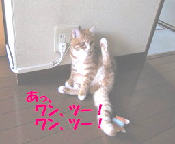 c0185516_2321067.jpg