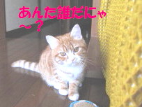 c0185516_2324162.jpg