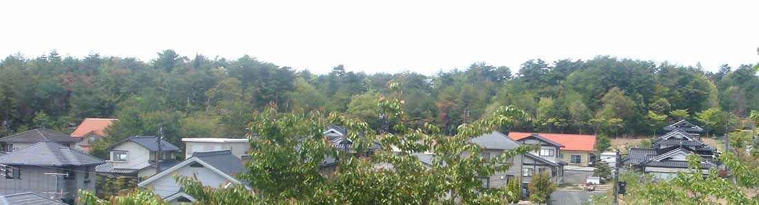 e0083820_11394092.jpg