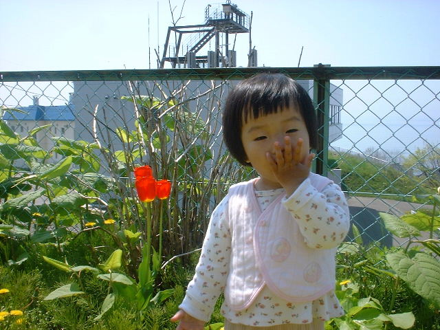 b0128821_2283051.jpg