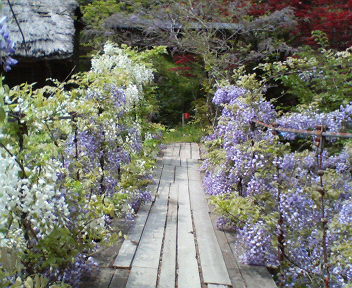 f0036223_18125821.jpg