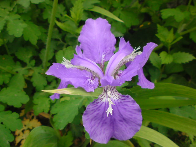 e0016828_23504023.jpg