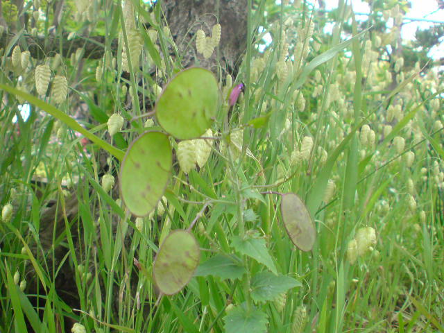e0016828_23515293.jpg