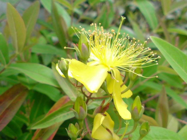 e0016828_23523971.jpg