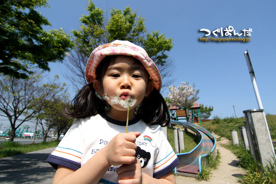 f0153628_12892.jpg